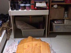 -彩虹桥宠物火化殡葬善终服务(金乐大厦店)