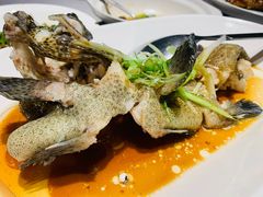 清蒸珊瑚斑-徐记海鲜(汉城湖|太奥店)