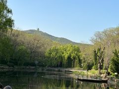 -棒棰岛宾馆景区