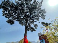 -秦岭终南山世界地质公园翠华山景区