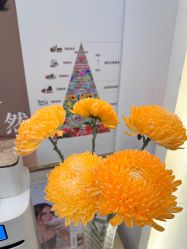 -MIDA蜜哒•科技逆龄美肤连锁