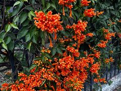 -花椒笑成都小馆(百脑汇店)