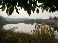 -白鹭湾湿地公园