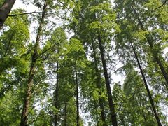 外景-上海怡沁园度假酒店