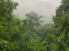 -藏龙百瀑风景区