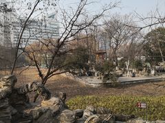 -莲湖公园