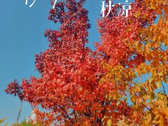 -宣武艺园