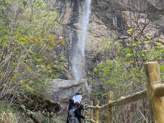 -青峰峡国家森林公园