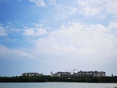-华侨城湿地公园
