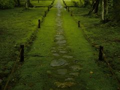 -西芳寺(苔寺)