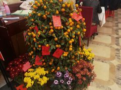 -荔枝楼酒家(员村东璟店)