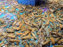 -驻海渔市(置信店)