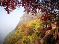 -少华山国家森林公园