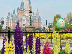 -上海迪士尼度假区