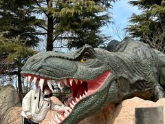 -青岛方特梦幻王国