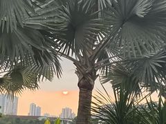 -南宁南湖公园