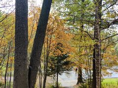 -五营红松林海景区