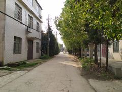 -东湖落雁景区