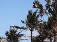 -西秀海滩公园