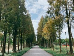 -歌斐颂巧克力小镇