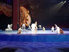 -珠海横琴长隆《卡卡虎奇遇记》