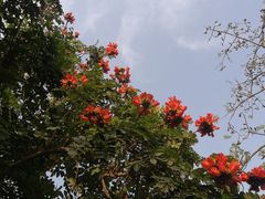 -四海公园(南山区)