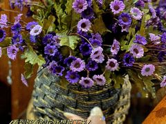 -向阳庄烧烤店(望京西园店)