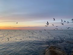 -老虎石海上公园