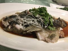 清蒸笋壳鱼-新加坡海鲜共和(名胜世界圣淘沙海滨坊)