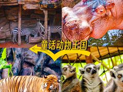 -长鹿旅游休博园