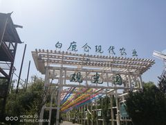 -白鹿原·白鹿仓
