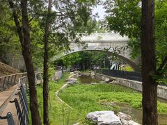 -白水寺森林公园
