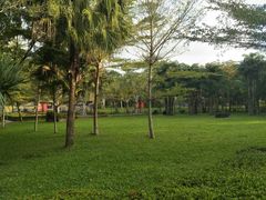 -红色娘子军纪念园