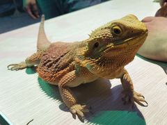 -上海昆虫博物馆