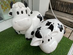 门面-白色日记·手作酸奶(麦凯乐店)