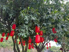 -广州莲花山旅游区