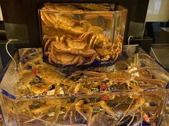 -蟹道乐(道顿堀本店)