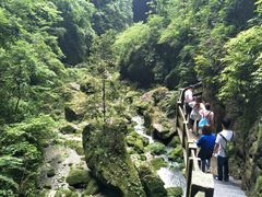 -武隆天坑地缝国家地质公园