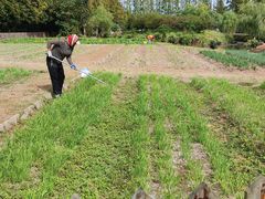 -前小桔亲子创意农场·草莓采摘·露营烧烤