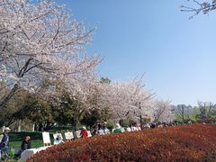 -堤角公园