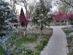 -绿岛公园(滨海新区)