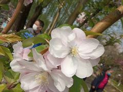 -元大都城垣遗址公园