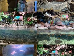 -台州海洋世界