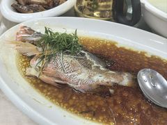 清蒸红鸡鱼-旺富东海大酒楼(海鲜街店)