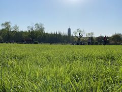 -宜兴龙背山森林公园