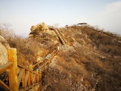 -大岭沟猕猴桃谷风景区