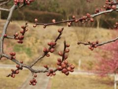 -龙寺生态园