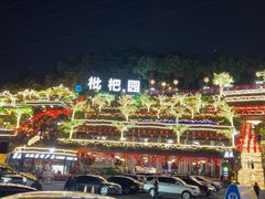-枇杷园食为鲜火锅(南山店)