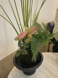 -上海薇琳医疗美容医院