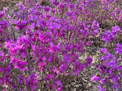 -哈尔滨师范大学(松北校区)